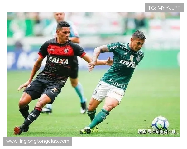 独家解析上海足球队各大球队实力对比与未来发展趋势